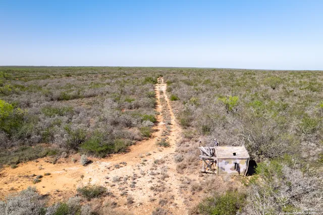 a close up of a plant with a plant