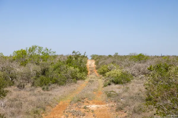a view of a dry yard with trees