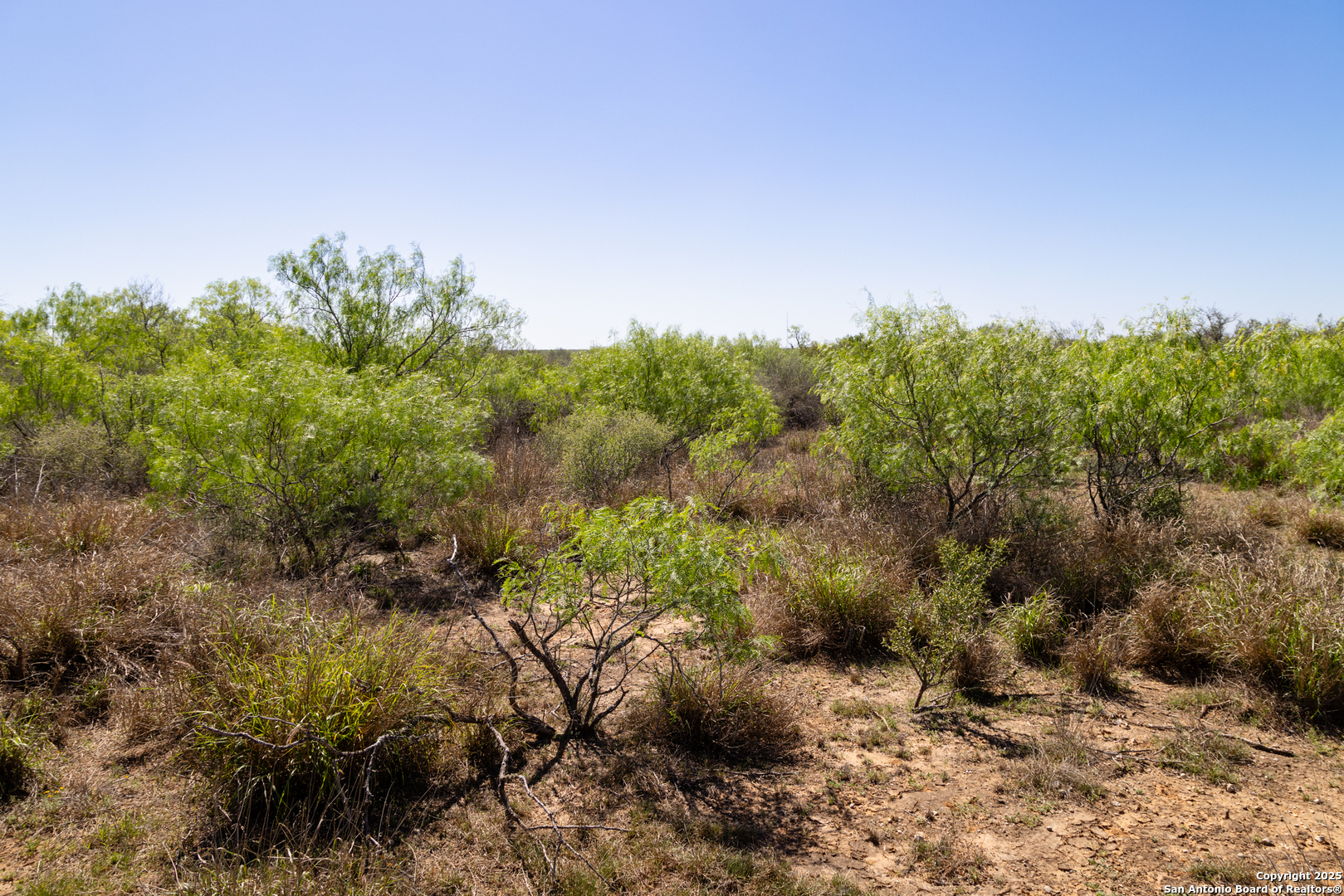 0 Us Hwy 83 N Laredo, TX 78045 - Photo 7 of 34 a view of a dry yard with trees
