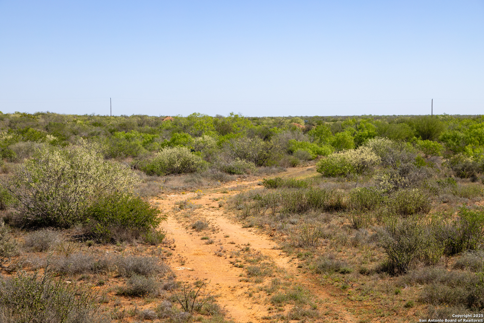 0 Us Hwy 83 N Laredo, TX 78045 - Photo 10 of 34 a view of a field with trees in the background
