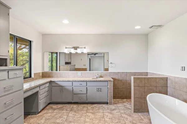 a view of a lush green forest