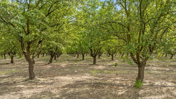 $1,789,000 | 625 North Hopper Road, Modesto, CA 95357