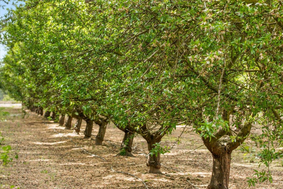 625 North Hopper Road Modesto, CA 95357 - Photo 73 of 82