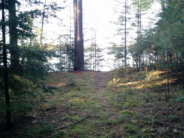 On Shields Road, Unit LOT 1 St. Germain, WI 54558 - Photo 18 of 20 Gallery Image 18