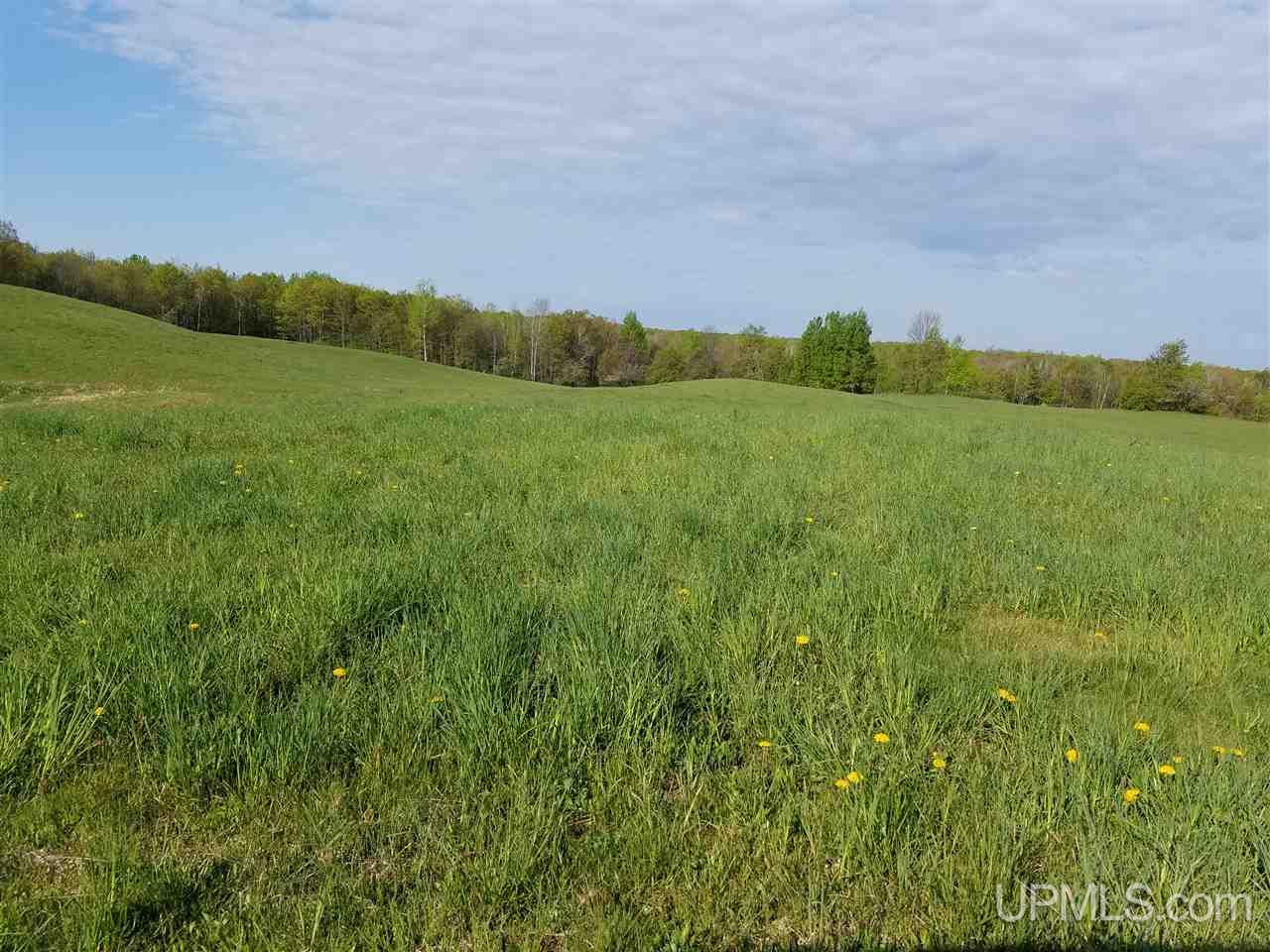 Tbd North River Road Hurley, WI 54534 - Photo 4 of 9