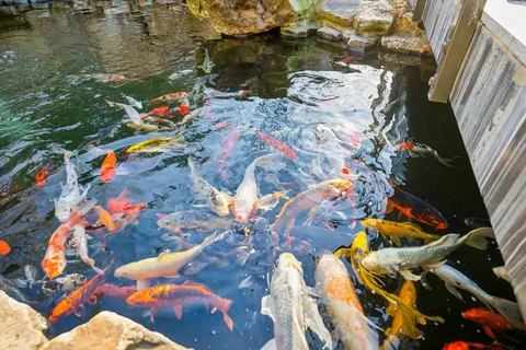 $4,200,000 | 3235 Kinnard Springs Road, Franklin, TN 37064