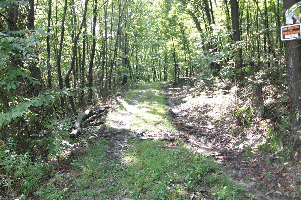 0 Stone Quarry Road Three Springs, PA 17264 - Photo 1 of 6 Gallery Image 1