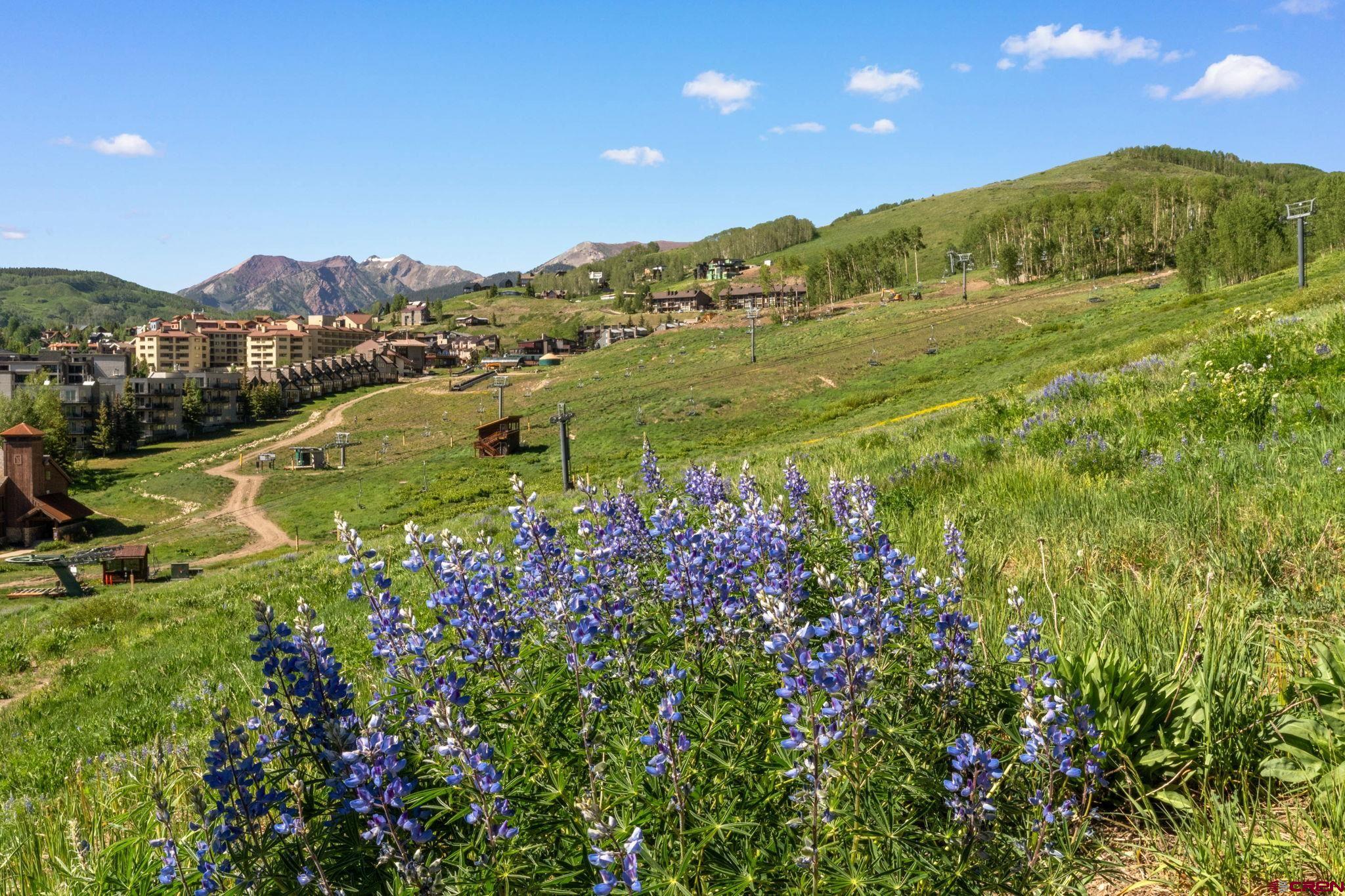 72 Hunter Hill Road, Unit I204 Crested Butte, CO 81225 - Photo 35 of 44 a view of a town with mountains in the background