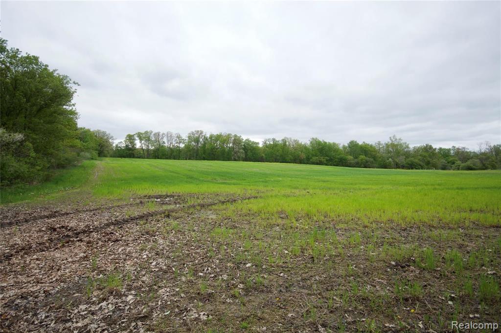0 Iosco Road Webberville, MI 48836 - Photo 2 of 9