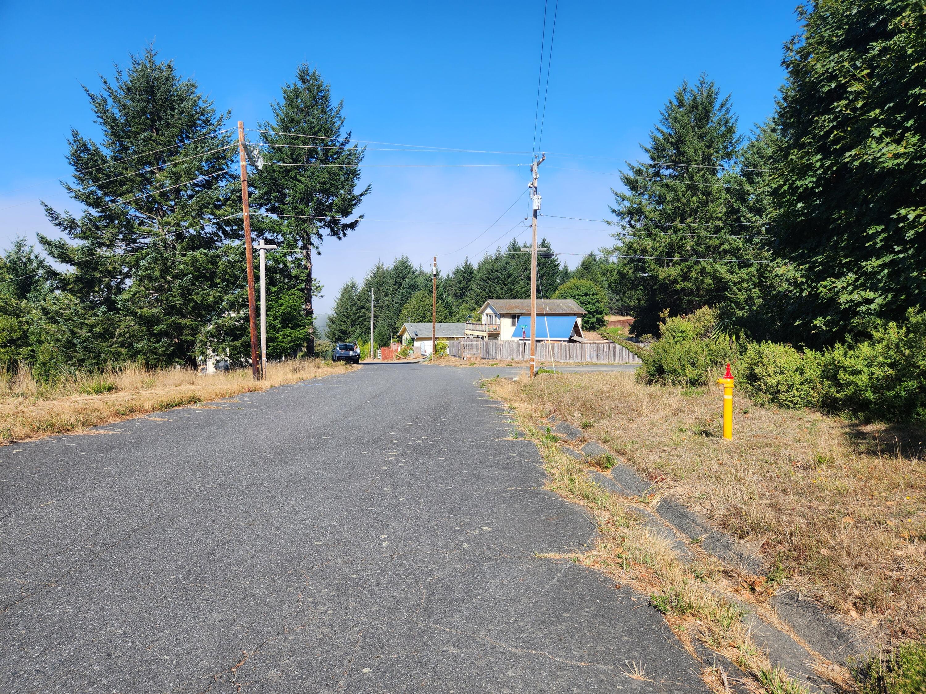 167 Spring Road Whitethorn, CA 95589 - Photo 3 of 9