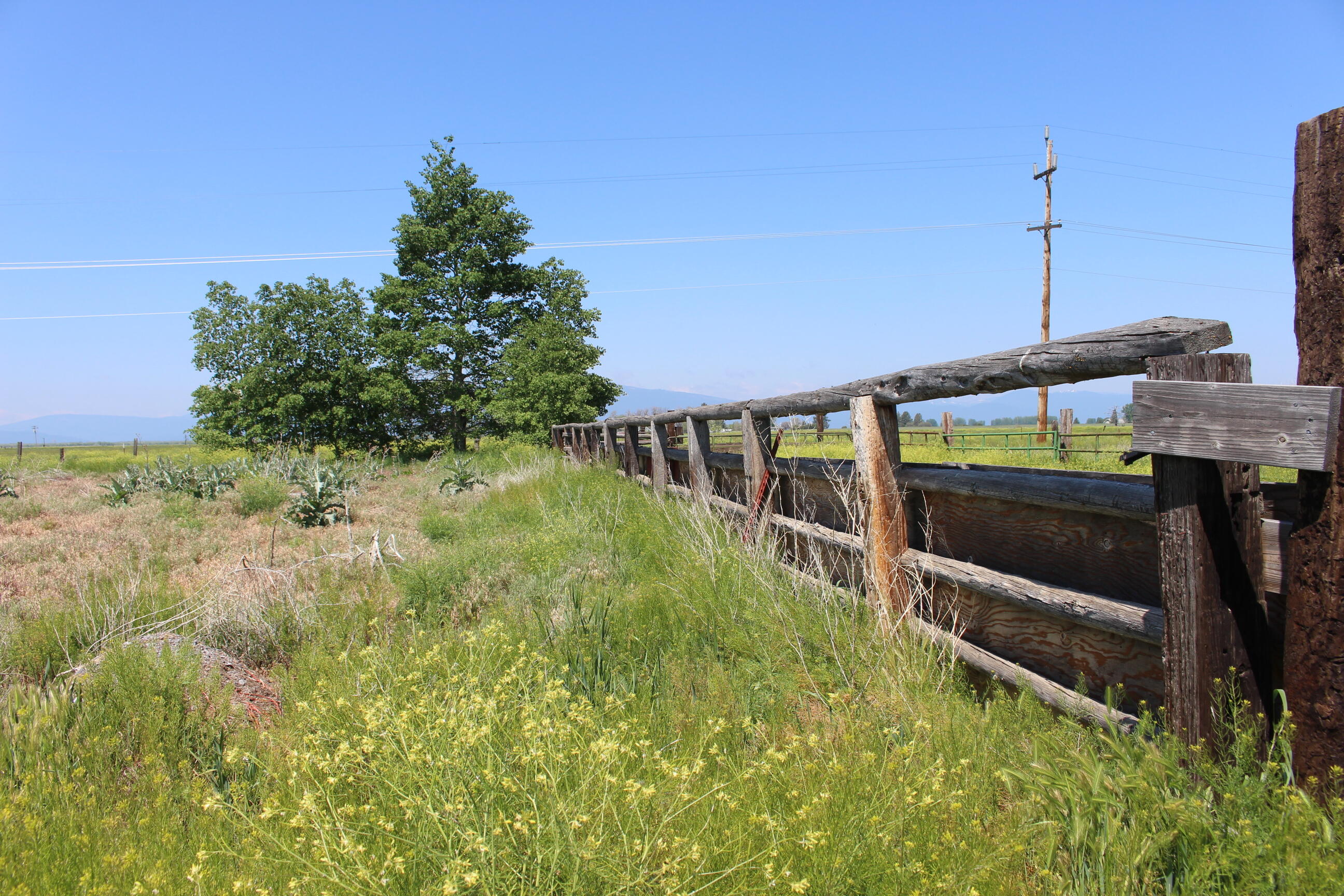 29833 Doak Road Chiloquin, OR 97624 - Photo 9 of 28 IMG_9643