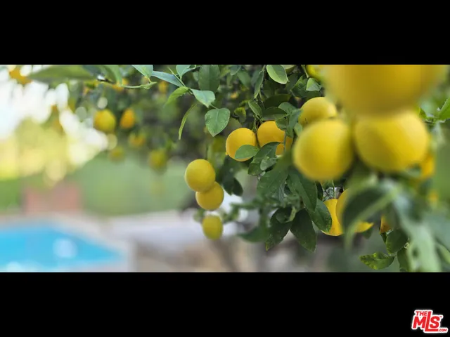 $12,000 | 4744 Haskell Avenue, Encino, CA 91436