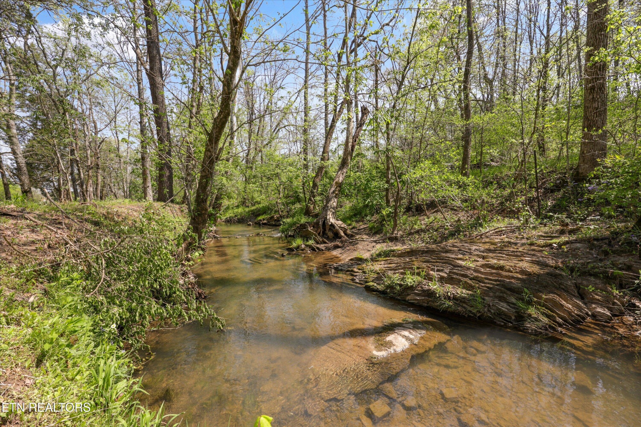 0 Indian Ridge Road Blaine, TN 37709 - Photo 5 of 17 Gallery Image 5