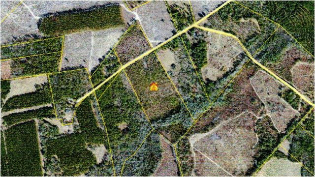 Hanson Curtis Road Salley, SC 29137 - Photo 1 of 1 Main View