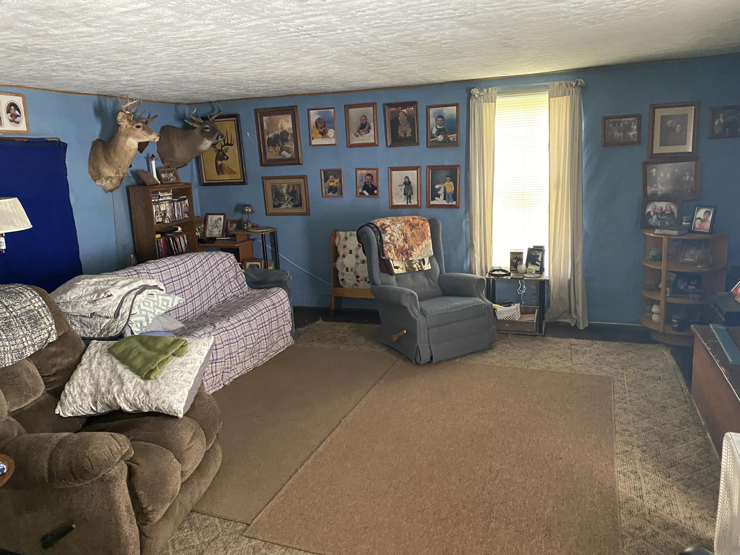 10200 East Bacon Road Pittsford, MI 49271 - Photo 2 of 38 IMG_6191