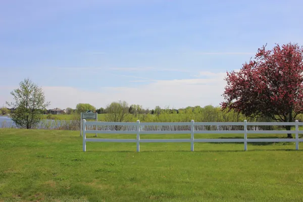 a view of a field with grass and trees
