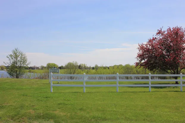 a view of a field with grass and trees