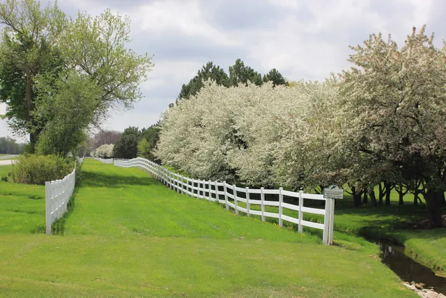 a view of a garden with a bench