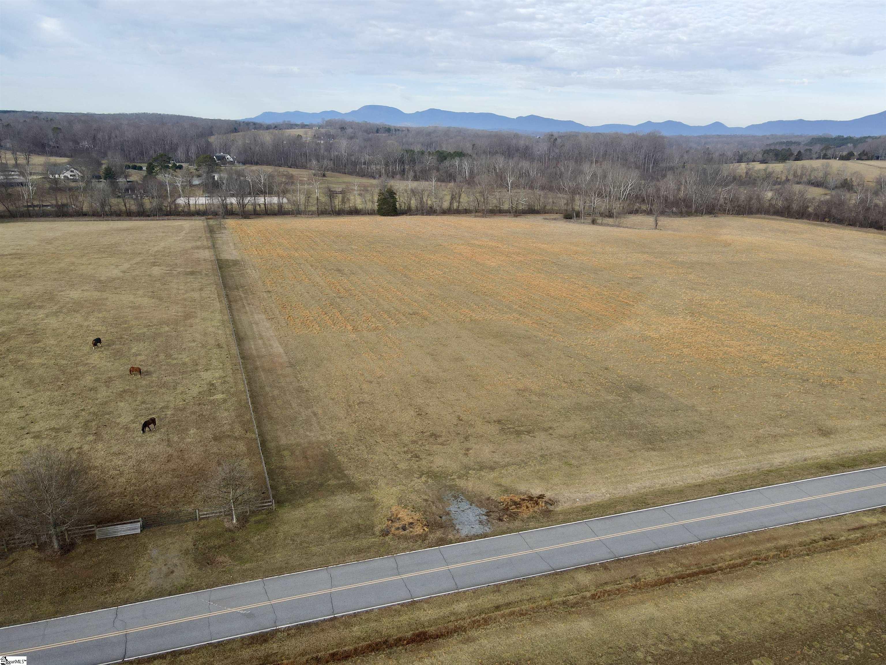 0 North Pacolet Road Campobello, SC 29322 - Photo 2 of 17