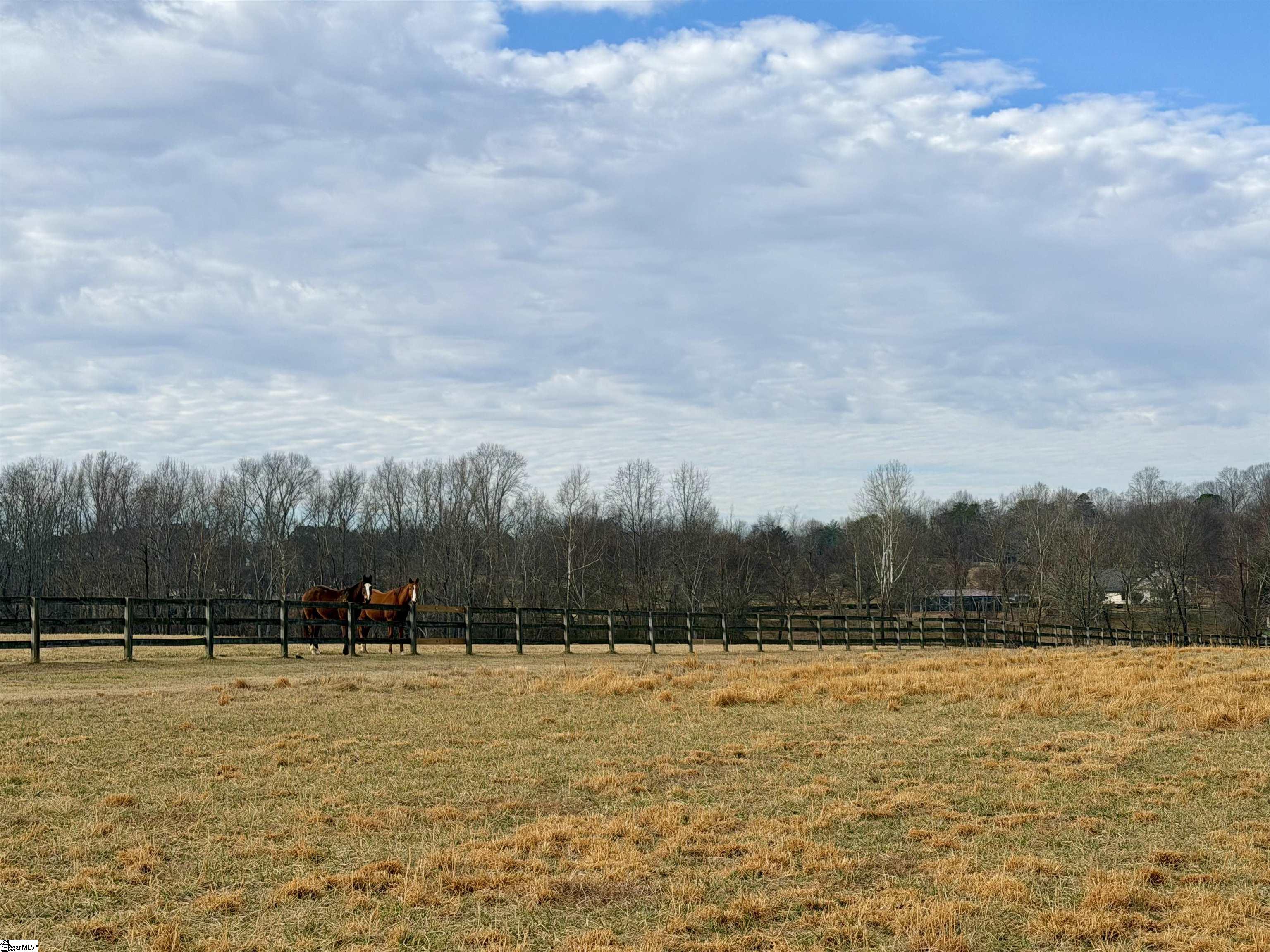 0 North Pacolet Road Campobello, SC 29322 - Photo 3 of 17