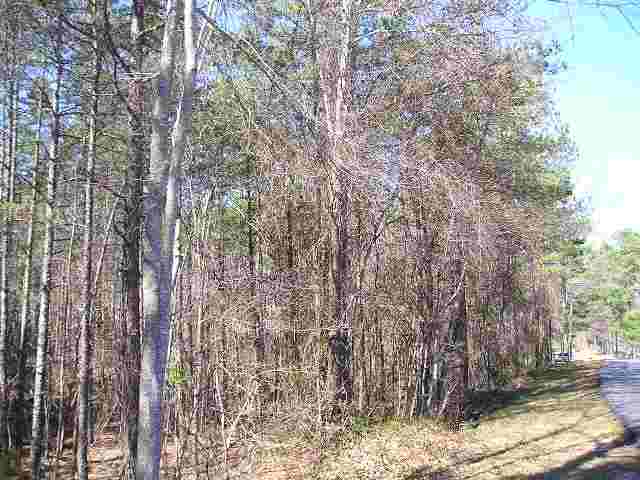 West Martin School Road Pickens, SC 29671 - Photo 2 of 4 Gallery Image 2