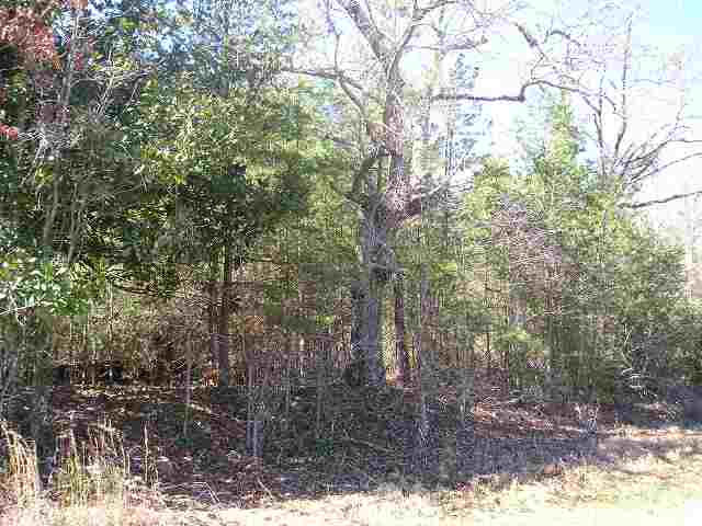 West Martin School Road Pickens, SC 29671 - Photo 3 of 4 Gallery Image 3