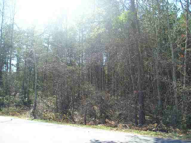 West Martin School Road Pickens, SC 29671 - Photo 4 of 4 Gallery Image 4