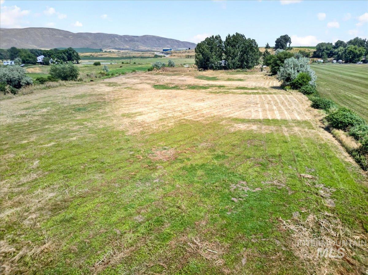 587 Cove Road Weiser, ID 83672 - Photo 17 of 30 Expansive cleared land parcel featuring natural grasses and mature trees at the perimeter