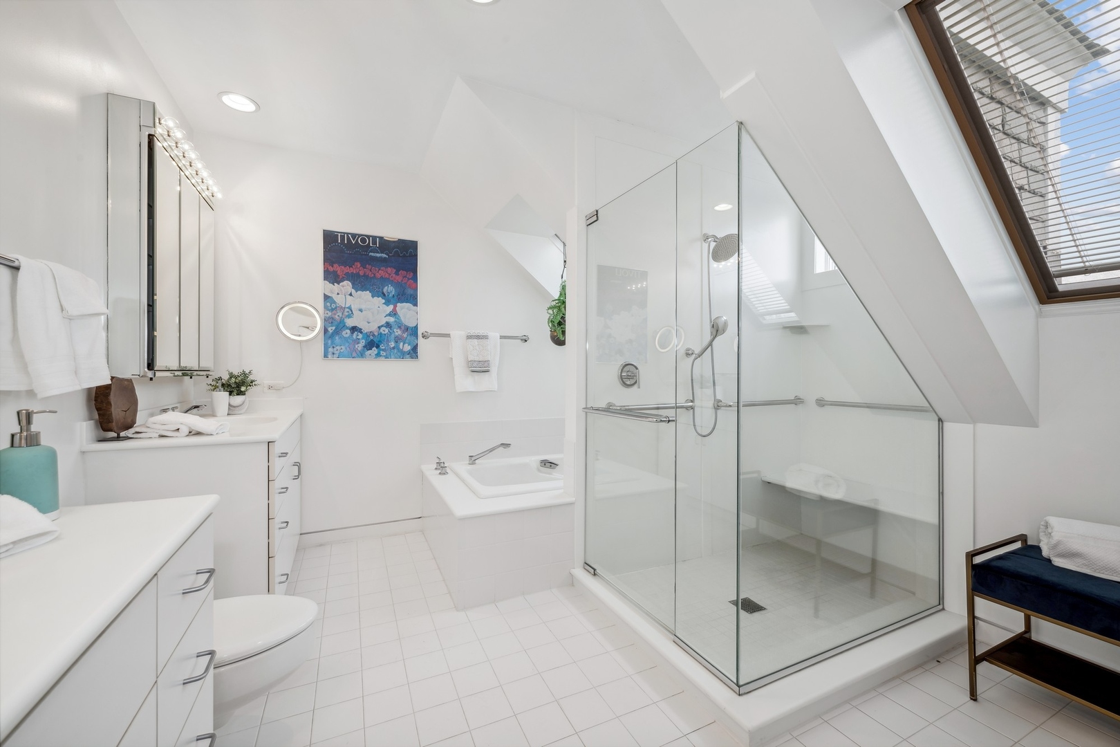 535 North Mayflower Road, Unit D Lake Forest, IL 60045 - Photo 16 of 25 a bathroom with a sink a toilet and shower