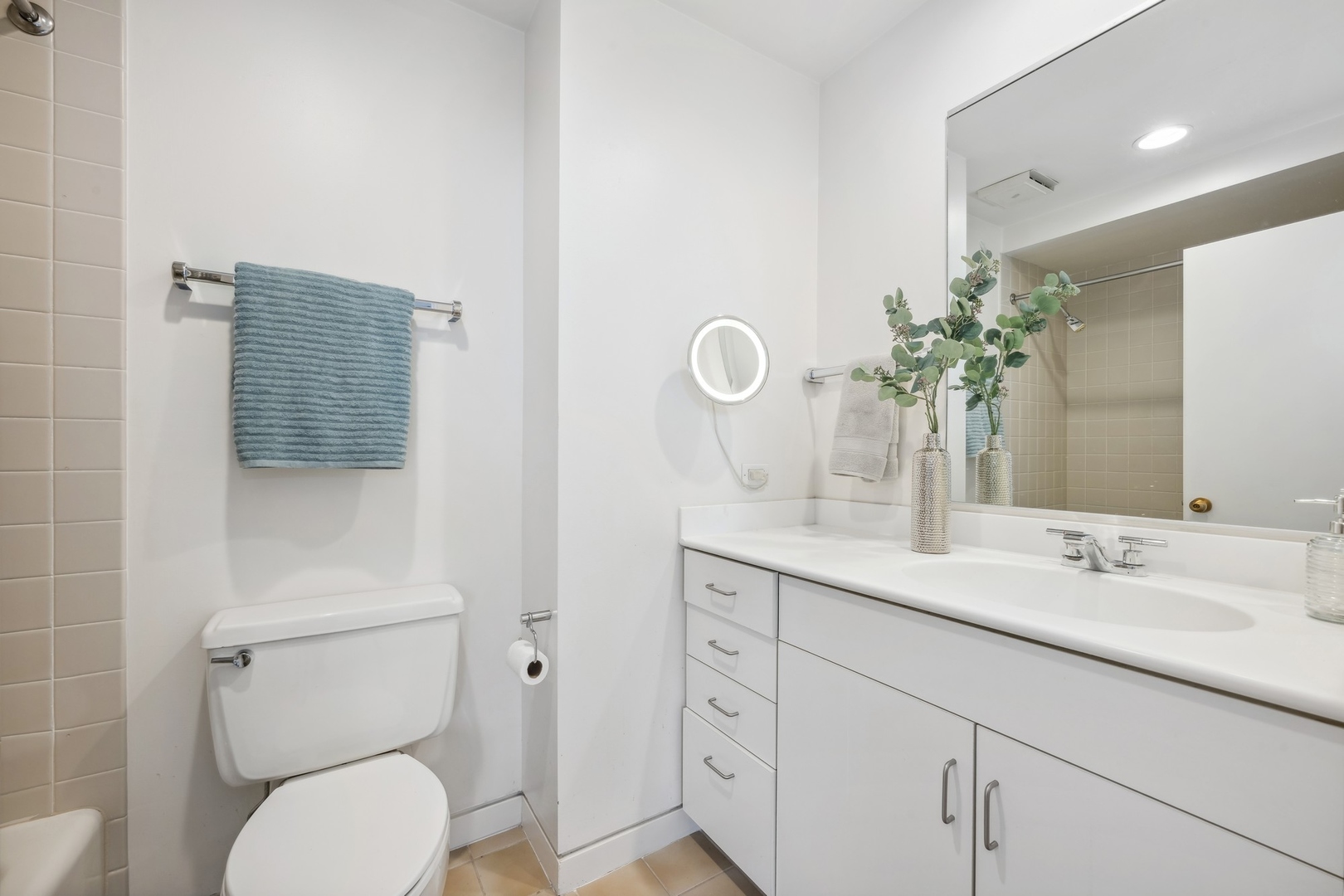 535 North Mayflower Road, Unit D Lake Forest, IL 60045 - Photo 19 of 25 a bathroom with a toilet sink and mirror