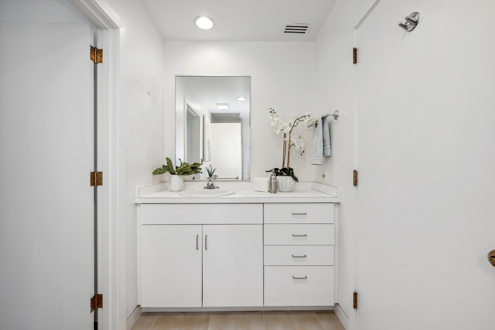 535 North Mayflower Road, Unit D Lake Forest, IL 60045 - Photo 21 of 25 a bathroom with a sink vanity and a mirror