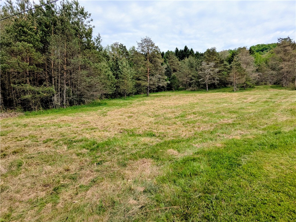 0 Two 2 Mile Road Port Allegany, PA 16743 - Photo 1 of 29