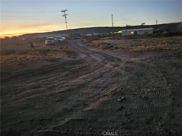 a view of a dry yard