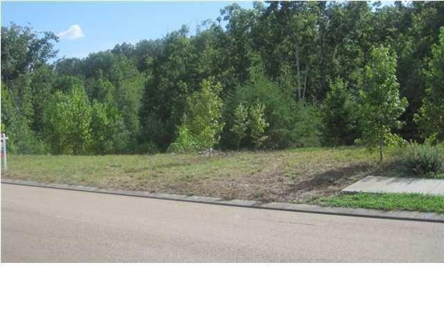5550 Ginkgo Road Ooltewah, TN 37363 - Photo 1 of 3 20161109181015103966000000-o