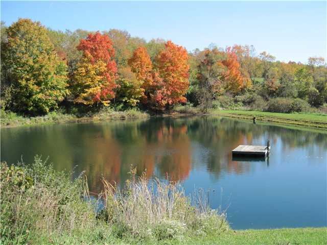 3708 Raccoon Valley Road Granville, OH 43023 - Photo 4 of 25