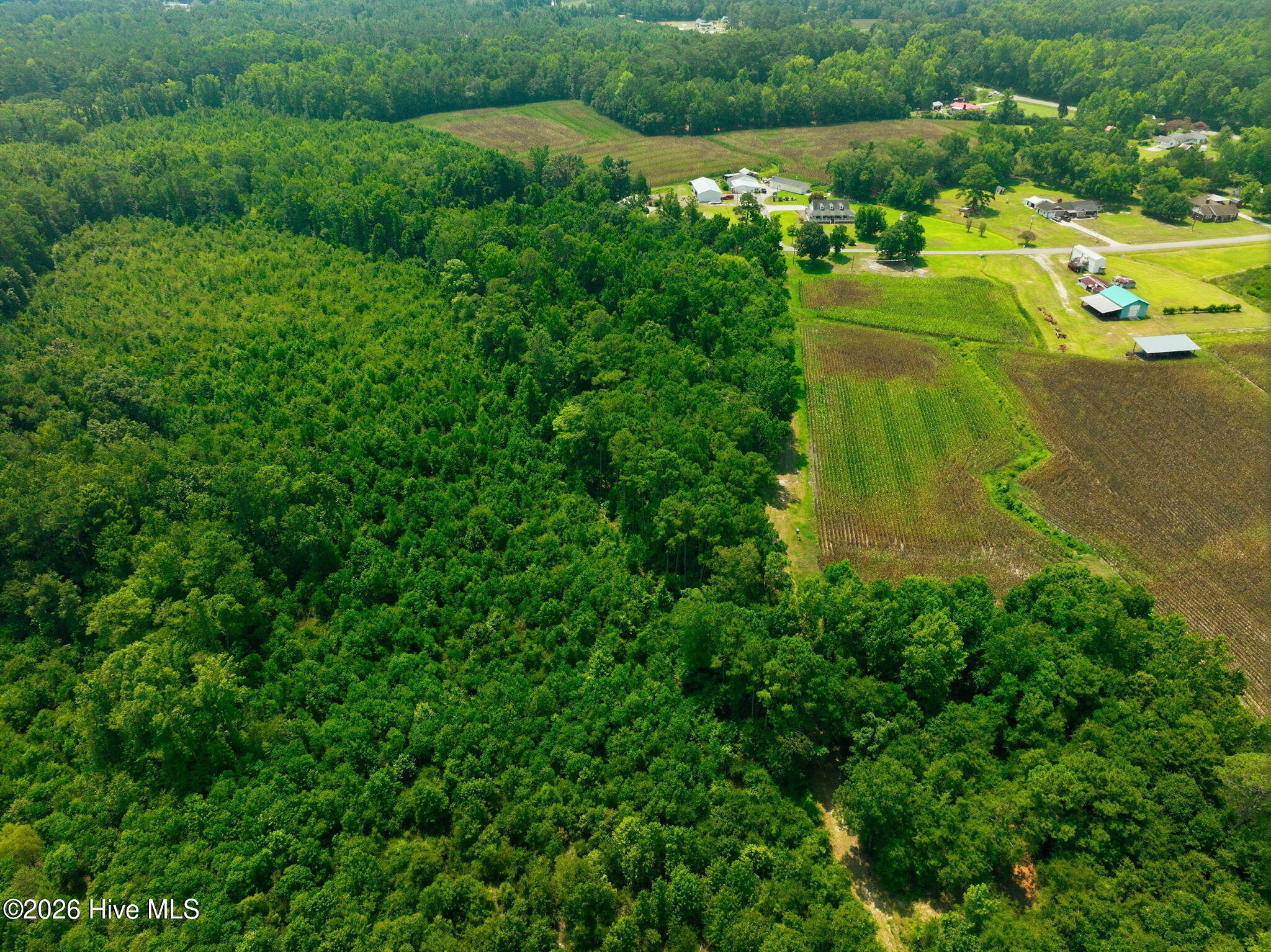 270 Buck Jones Road Wallace, NC 28466 - Photo 31 of 70 Gallery Image 31