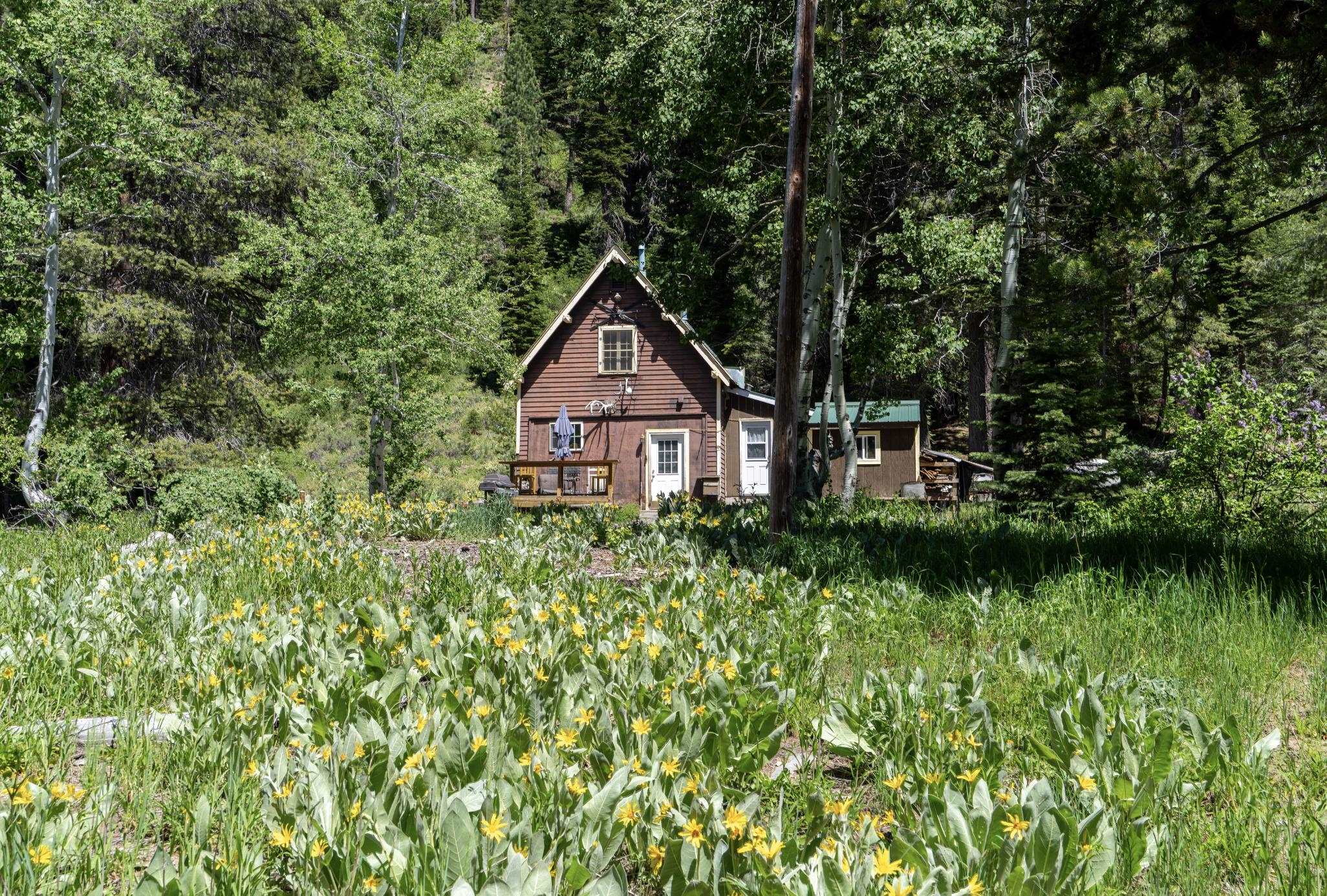 3090 River Road Truckee, CA 96161 - Photo 13 of 27