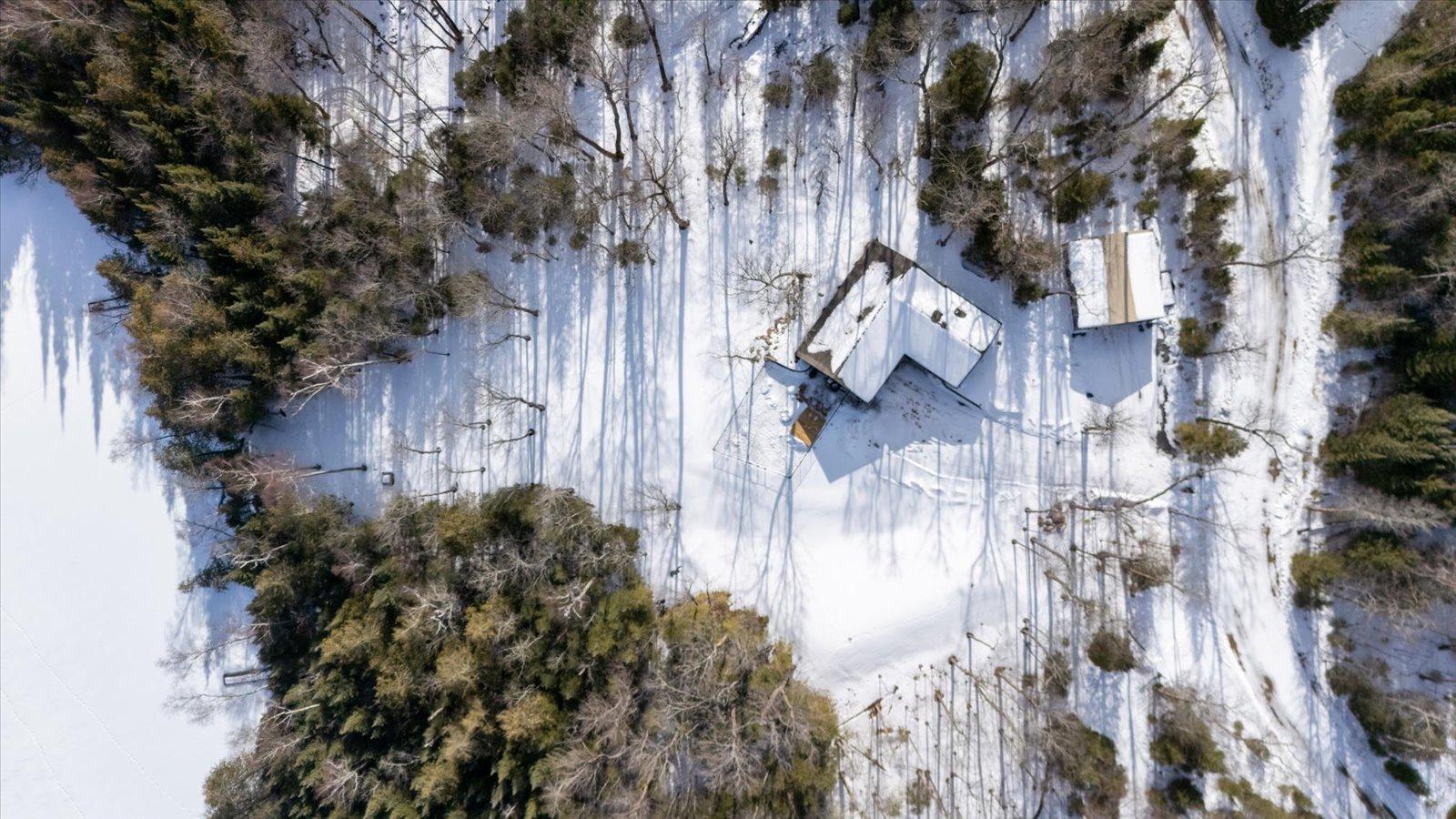 54342 West Horseshoe Lake Road Bigfork, MN 56628 - Photo 30 of 42