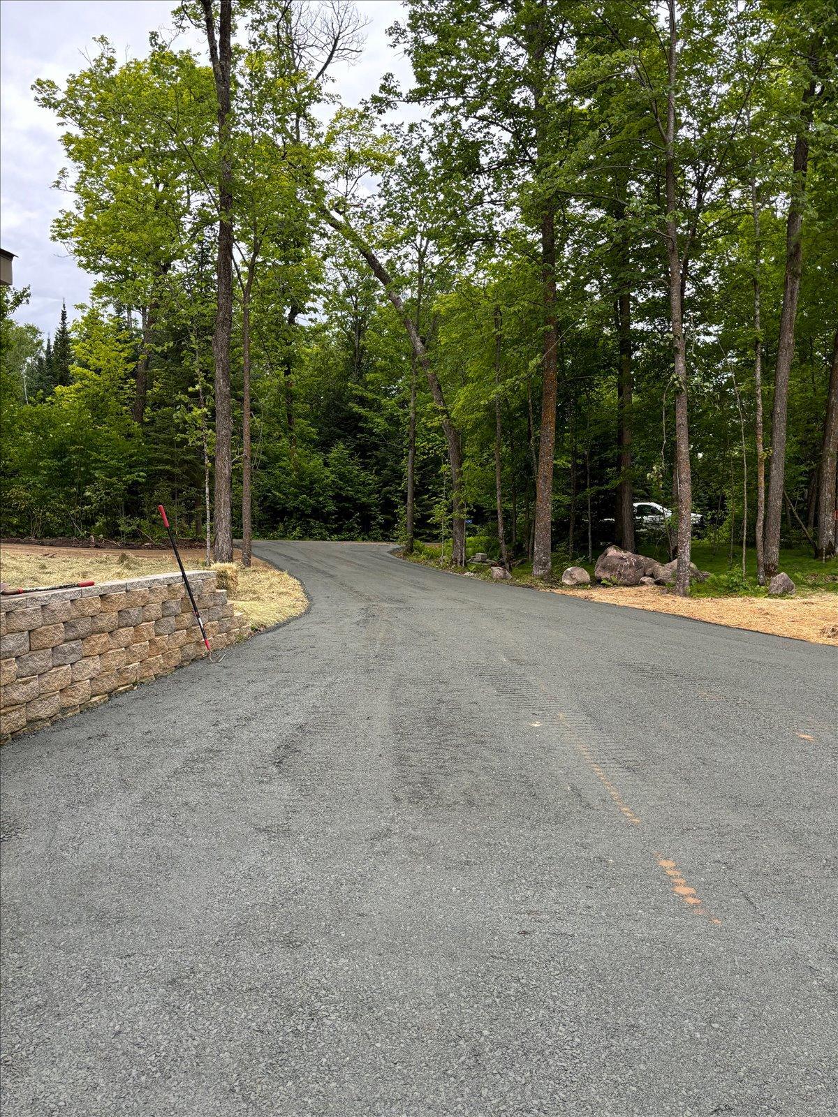 54342 West Horseshoe Lake Road Bigfork, MN 56628 - Photo 40 of 42