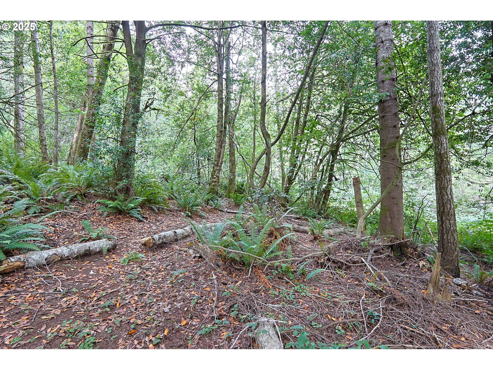 60272 Acme Lane Coos Bay, OR 97420 - Photo 35 of 48