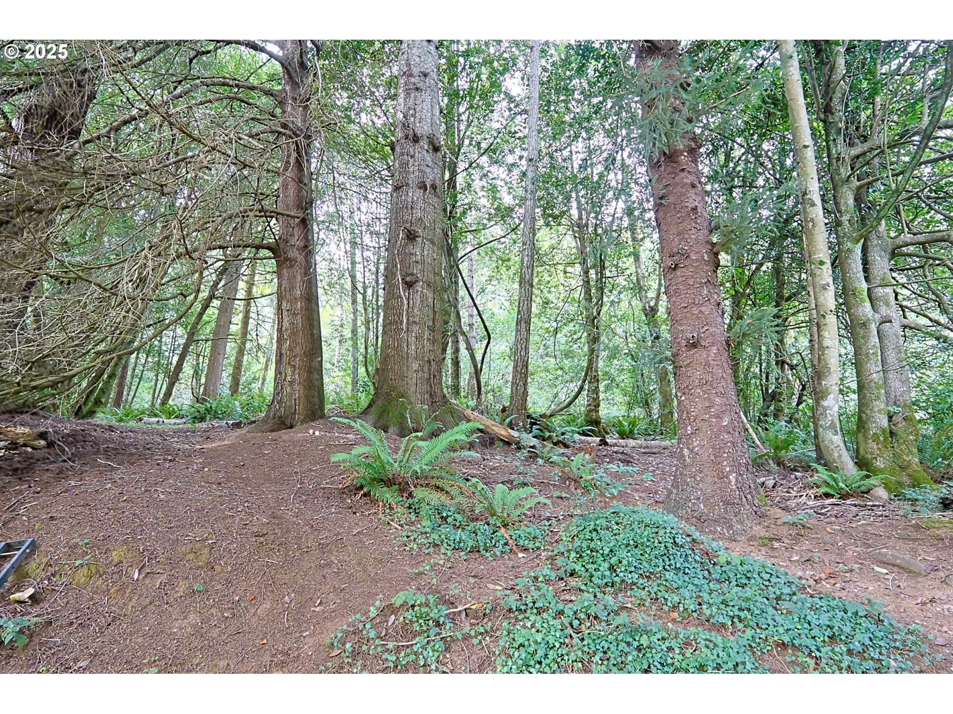 60272 Acme Lane Coos Bay, OR 97420 - Photo 36 of 48