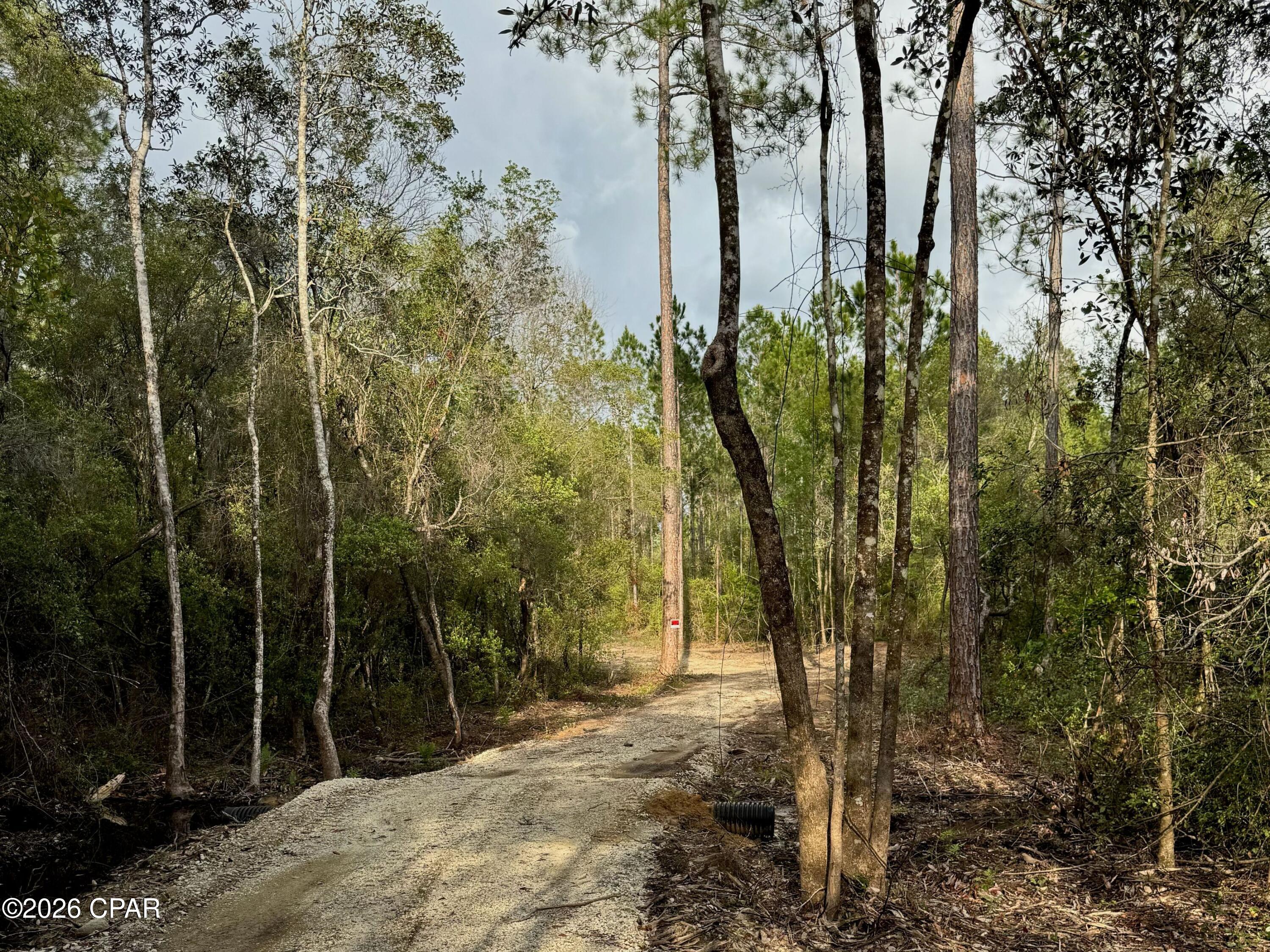 Lot 9 Pleasant Hill Road Bonifay, FL 32425 - Photo 6 of 10