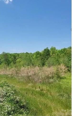 2195 Otis Dellinger Road Lincolnton, NC 28092 - Photo 8 of 10 Gallery Image 8