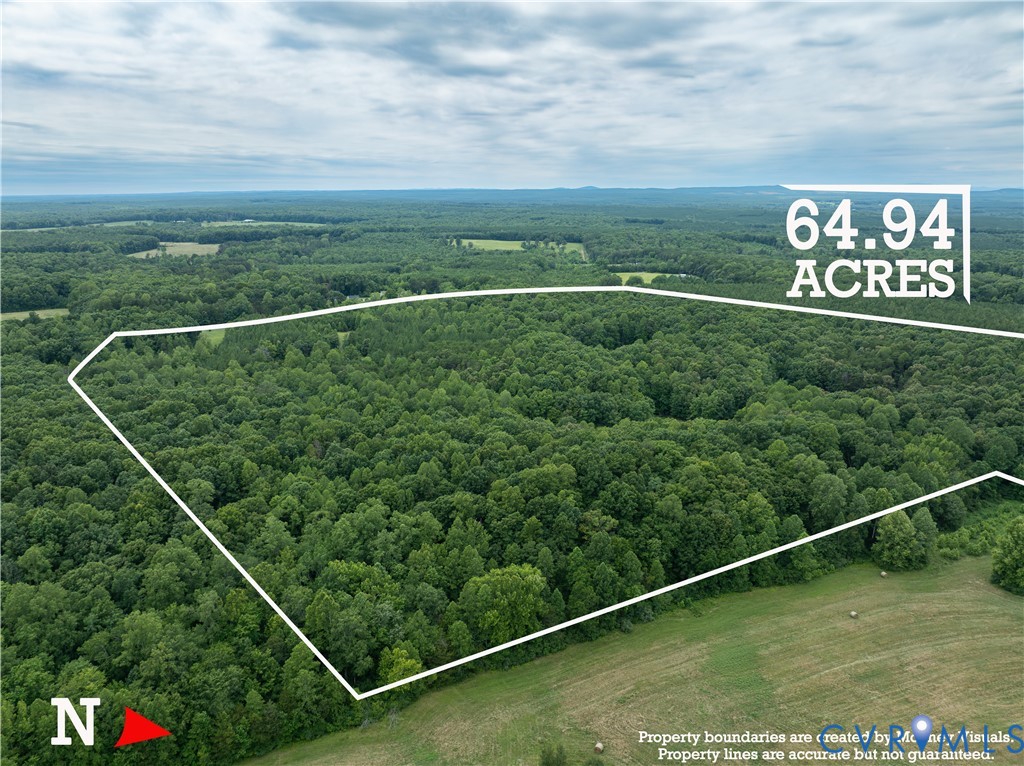 724 Perkins Mill Road Dillwyn, VA 23936 - Photo 1 of 10 Expansive 64.94-acre parcel featuring mature tree