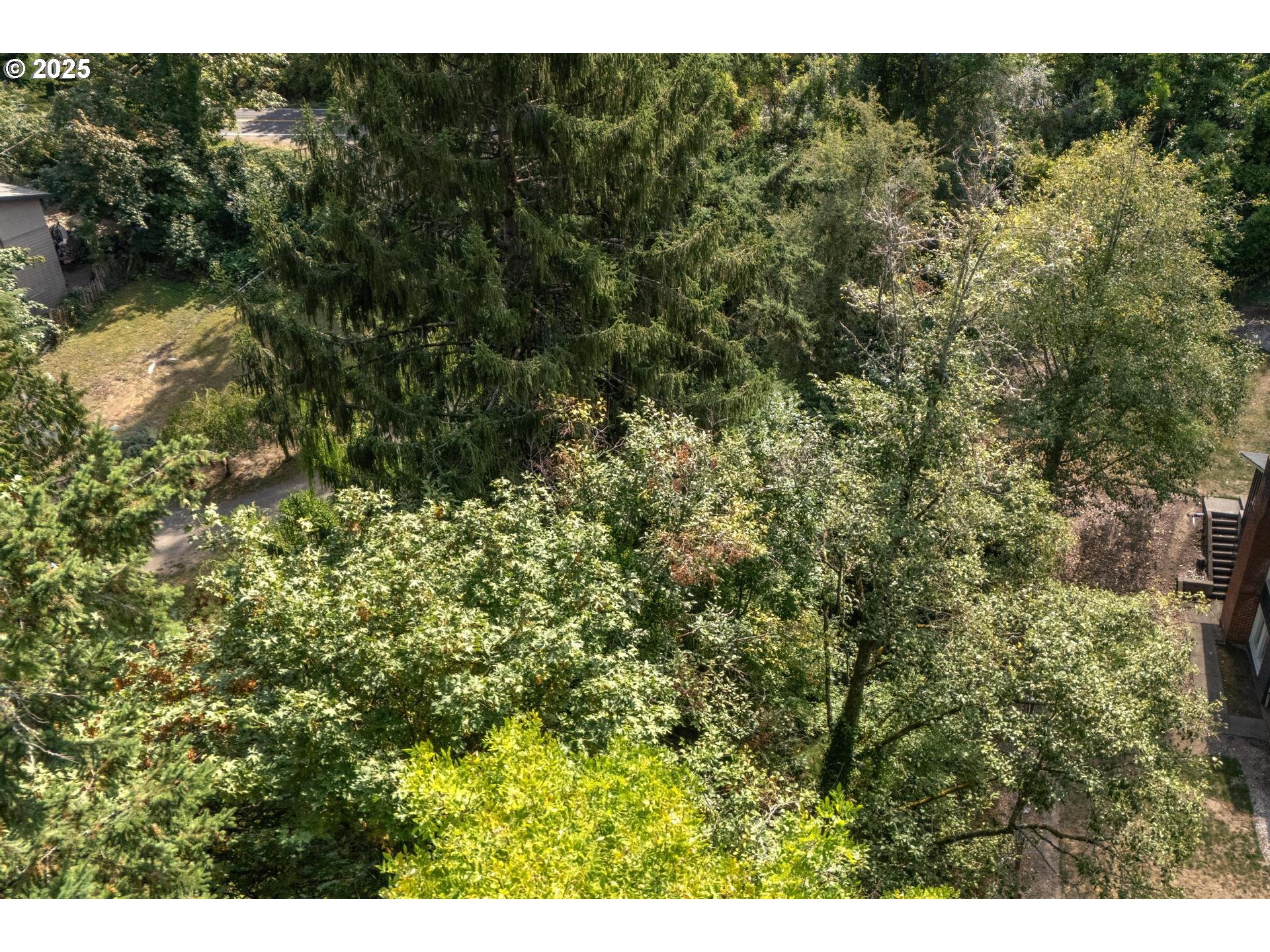 Southwest 43rd Avenue Portland, OR 97219 - Photo 10 of 24 a view of a forest with a street