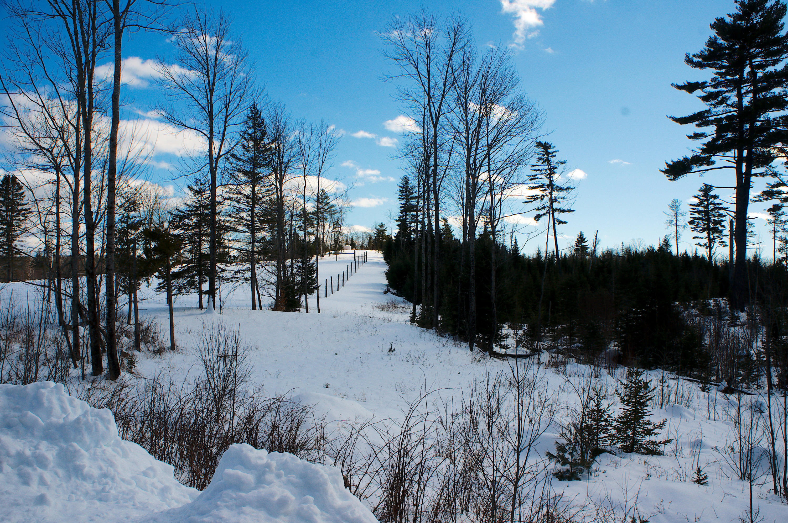 487 Airline Road Ellsworth, ME 04605 - Photo 58 of 61 fence Line