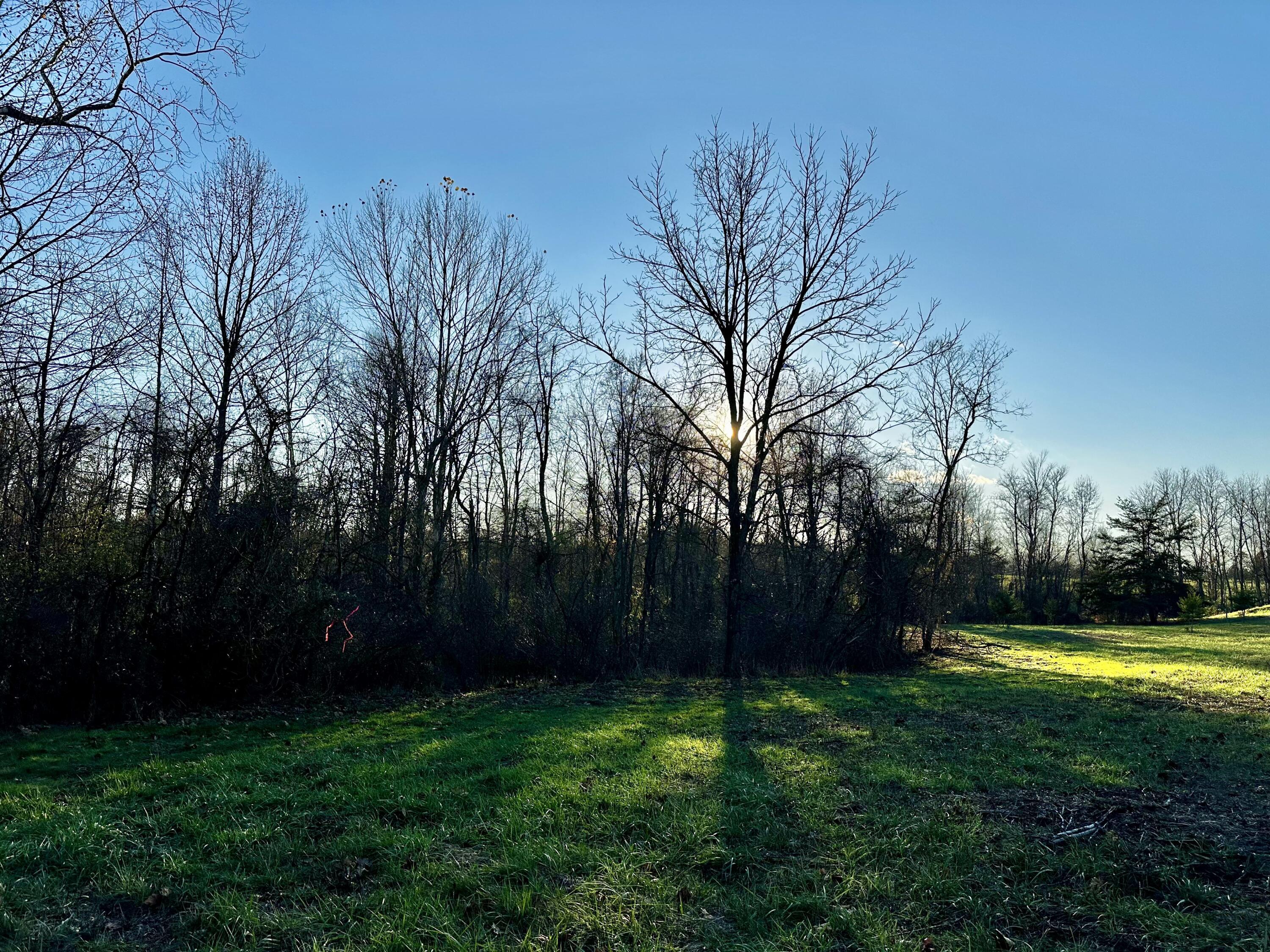 7342 Dutch Ridge Road, Unit TRACT 1 AT DUTCH RIDGE) New Straitsville, OH 43766 - Photo 13 of 45 20241111_212136688_iOS