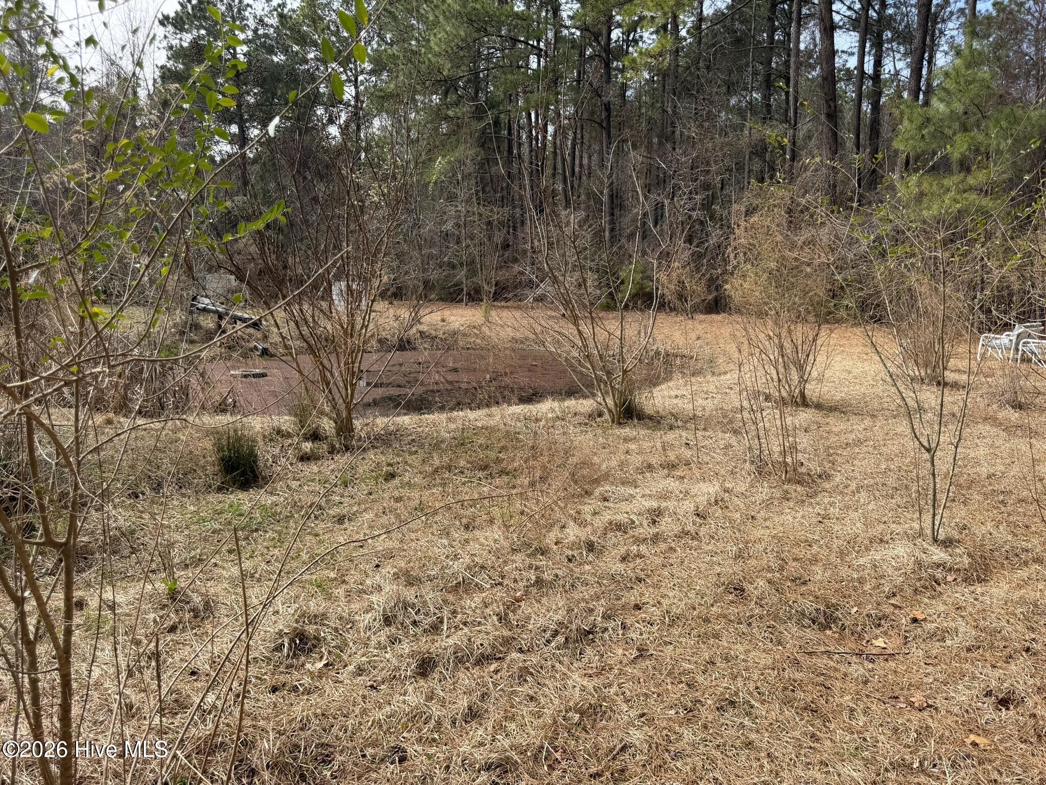 3414 Possum Hill Road Bath, NC 27808 - Photo 17 of 22 IMG_0160