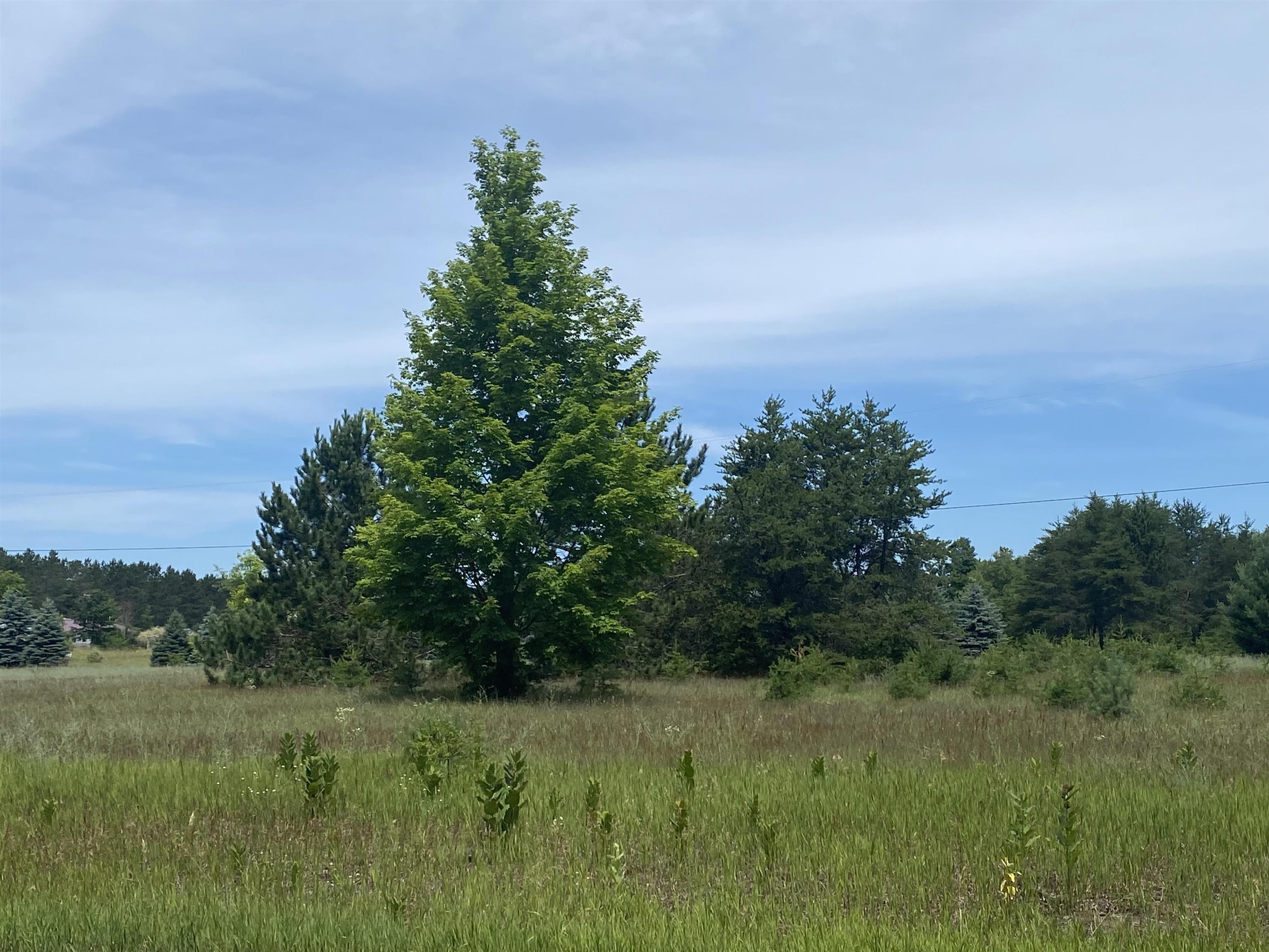0 Cinder Road Beulah, MI 49617 - Photo 2 of 4 1925279-eaf5e947-17dc-42e9-90d1-8a4369491ac2.JPG