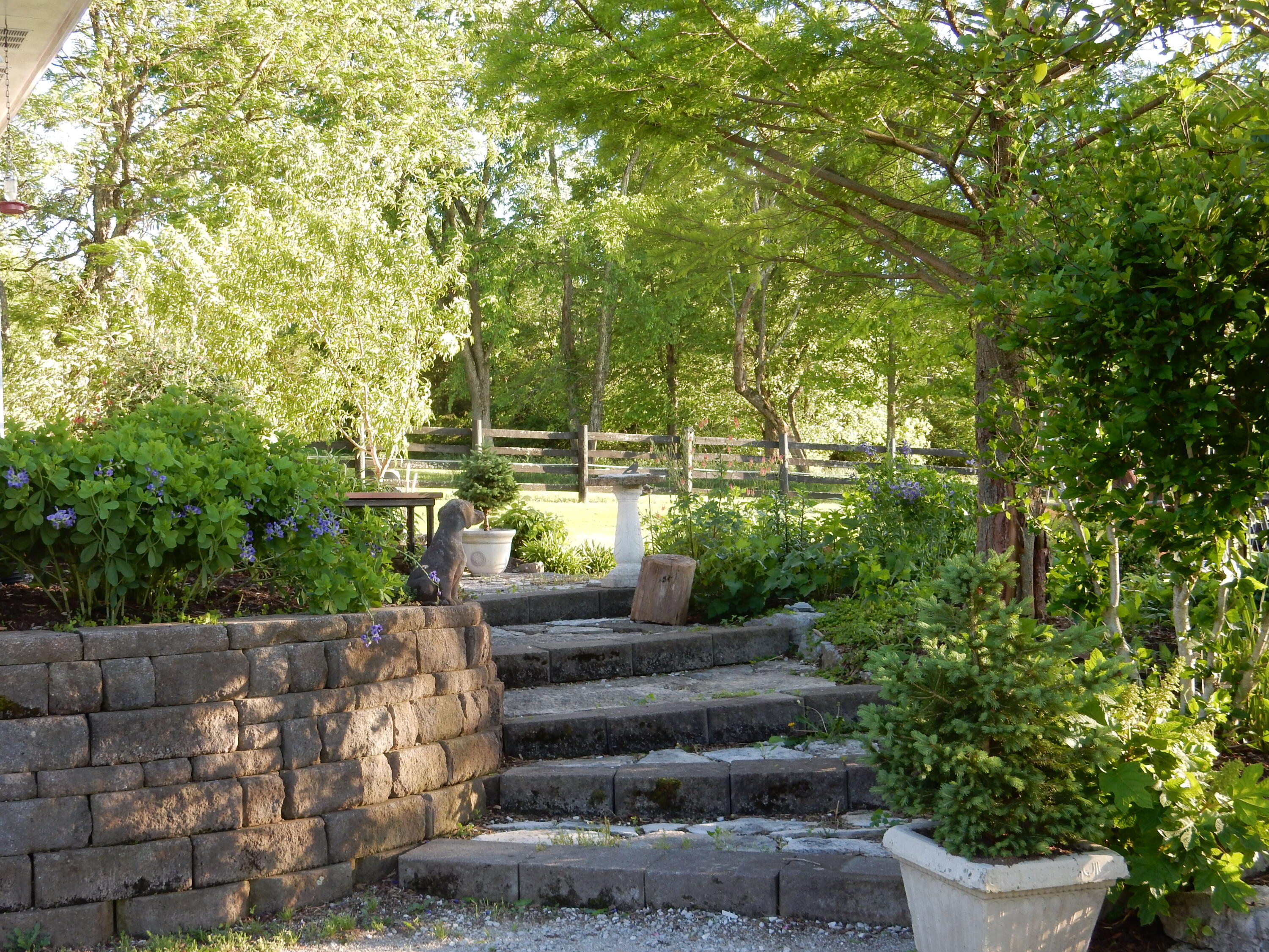 345 Boone Ridge Lane Lexington, KY 40515 - Photo 29 of 84 DSCN6103